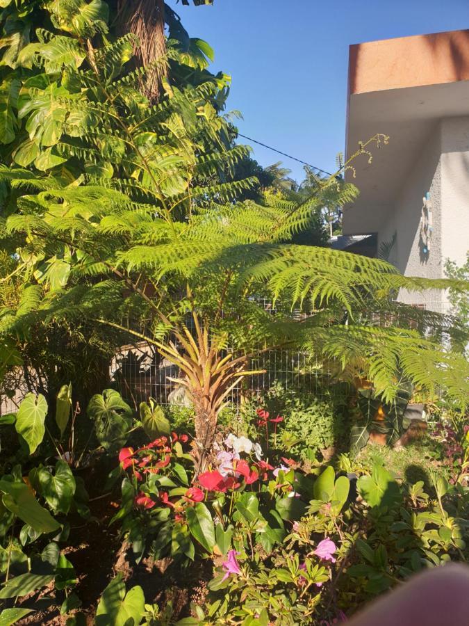 Couleurs Des Iles Διαμέρισμα Le Tampon Εξωτερικό φωτογραφία